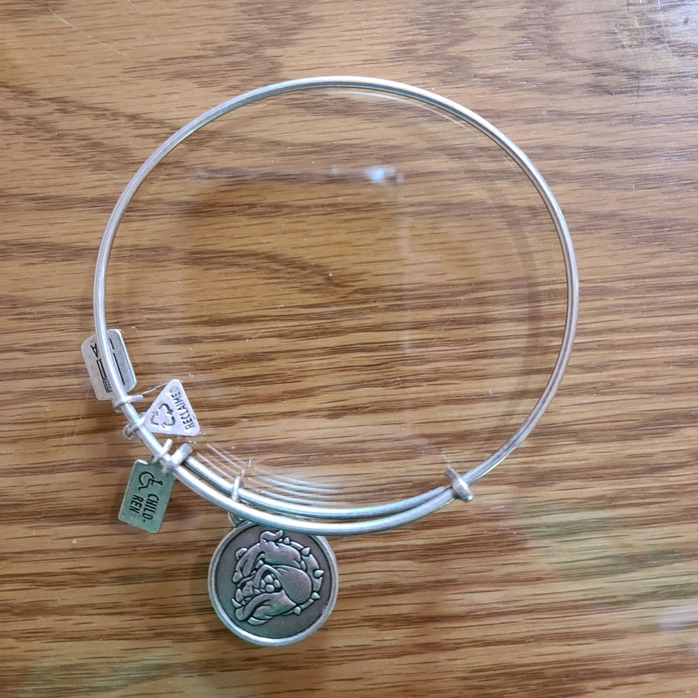 alex and ani bracelet